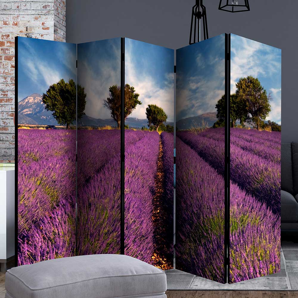Paravent Raumteiler Adeira im Landhausstil mit Lavendelfeld Motiv