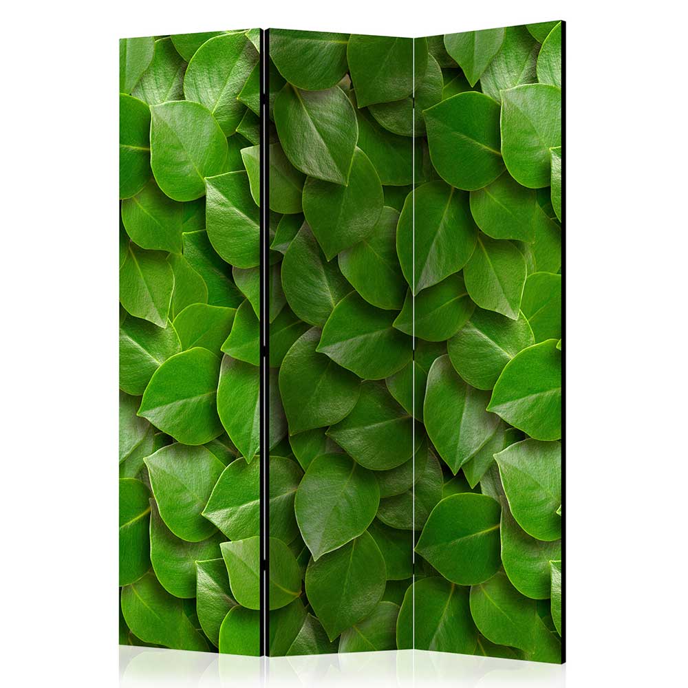 Paravent Raumteiler Loisango in Grün mit Blättermuster