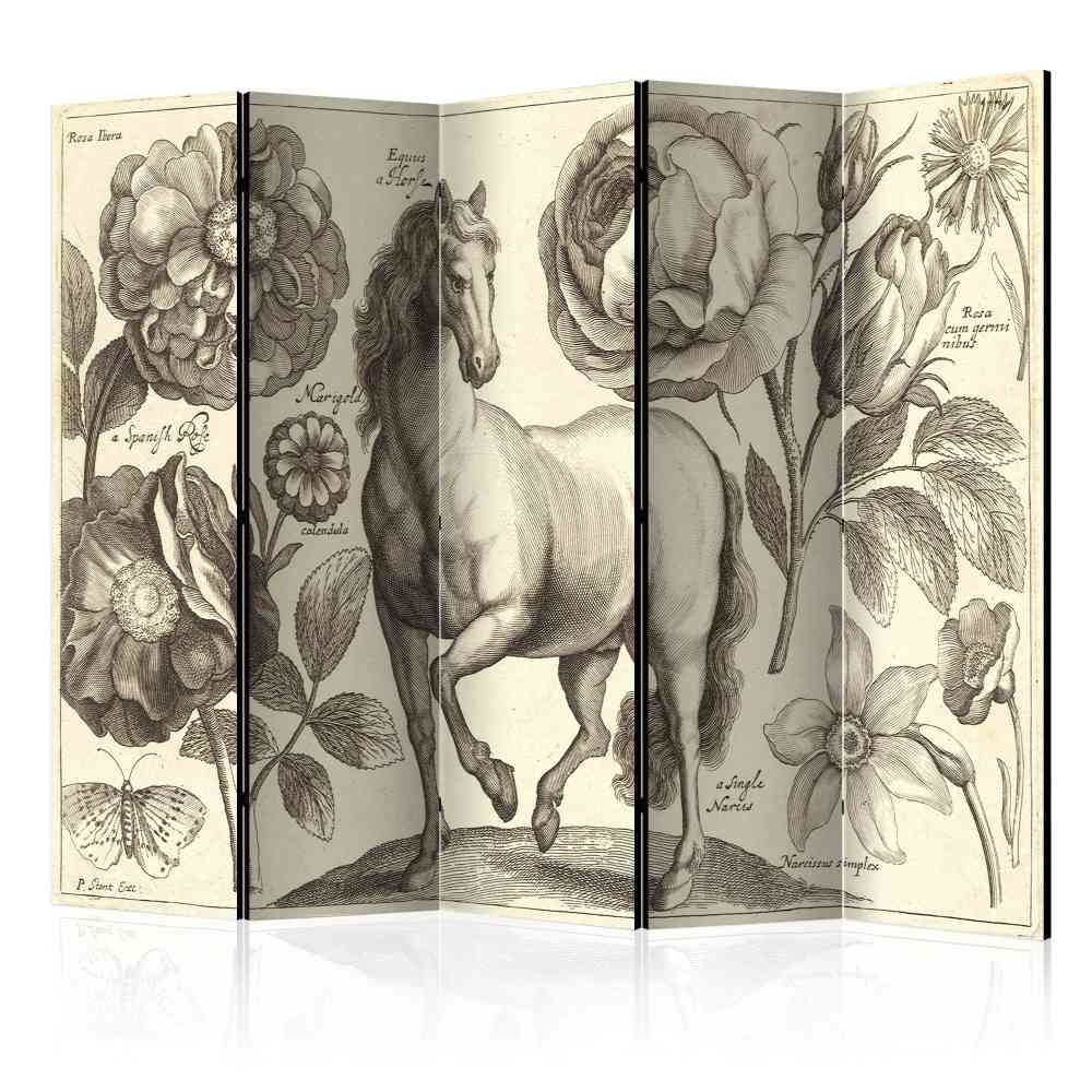 Barock Design Paravent Edance mit Pferde Motiv und Blumen 225 cm breit