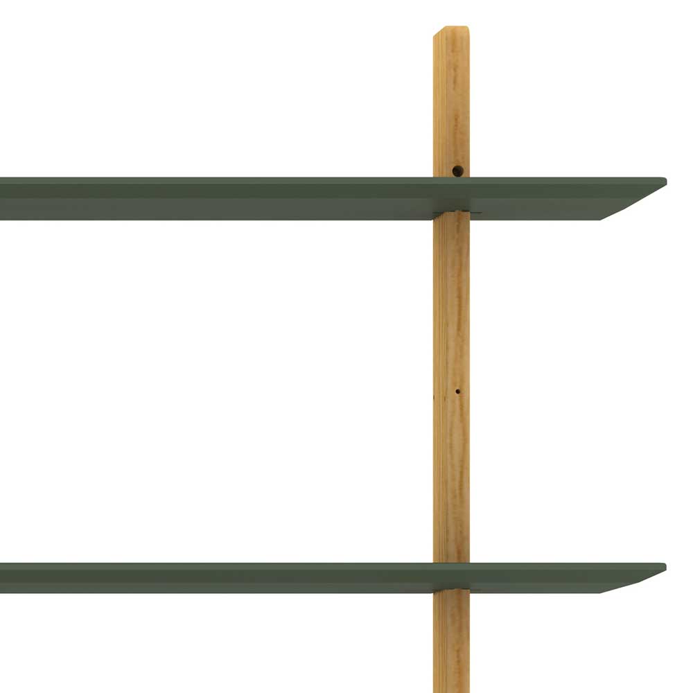 Moderne Regalwand Calivia in Dunkelgrün und Eiche 224 cm breit
