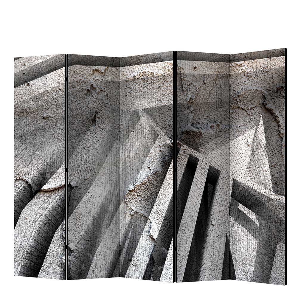 Beton Optik Raumteiler Julisch in Grau mit Leinwand Füllung