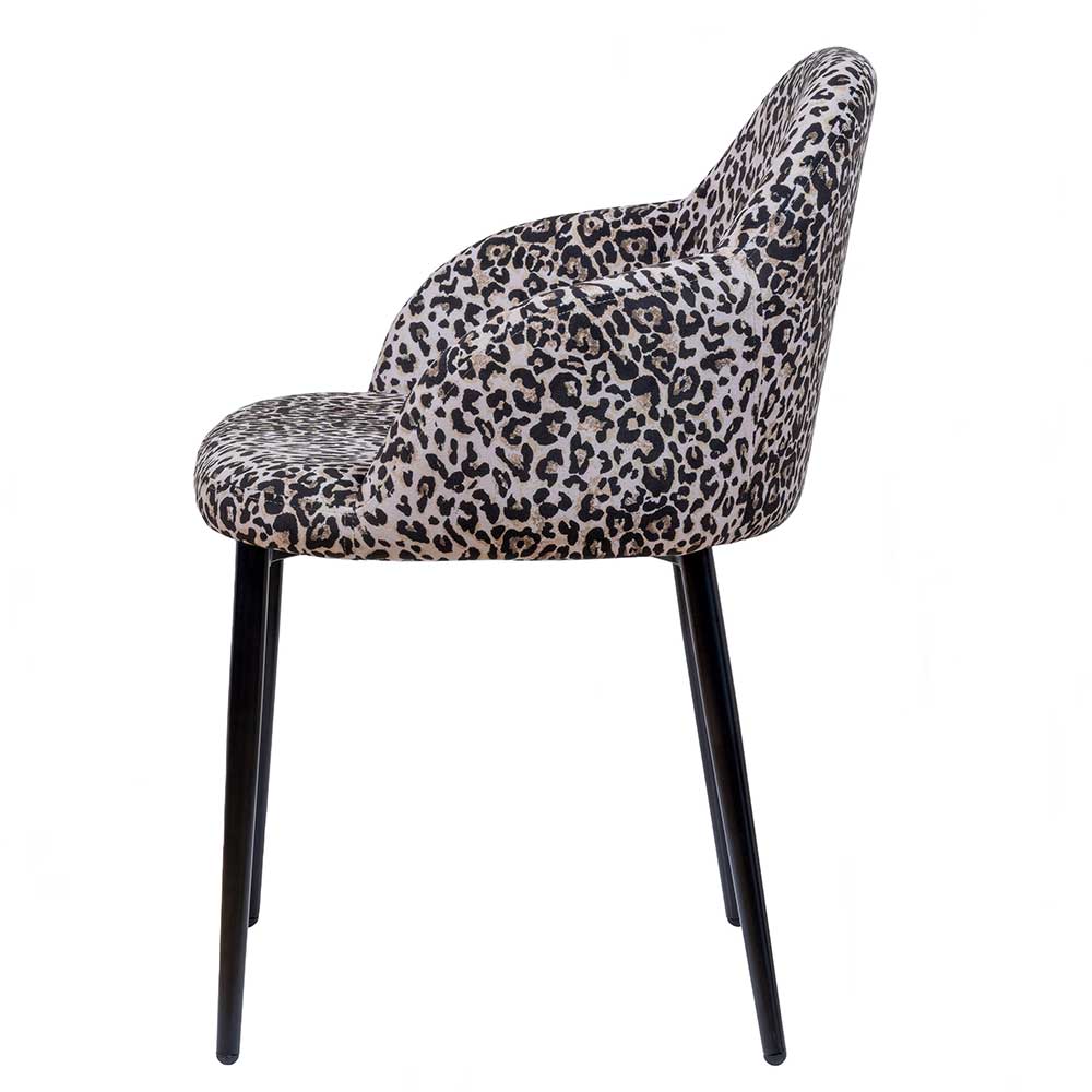 Moderne Design Stühle Sarojasia aus Samt und Metall mit Leo Print (2er Set)
