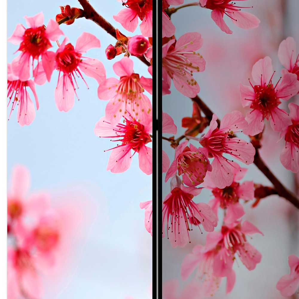 Raumteiler Vilado mit Kirschblüte Motiv im asiatischen Stil