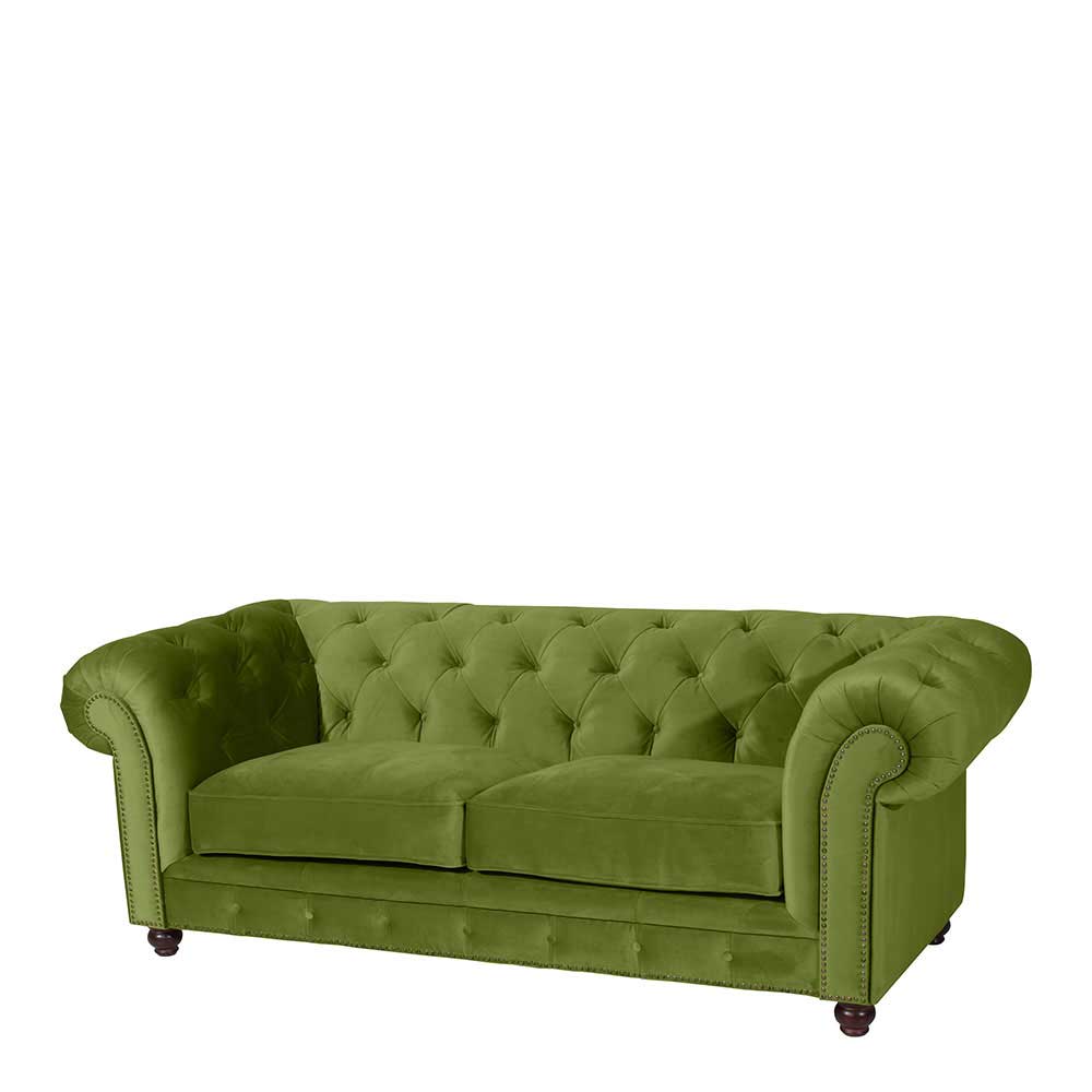 Hochwertiges Sofa Aqua im Chesterfield Look in Oliv Grün