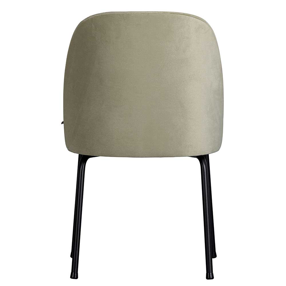 50 cm Sitzhöhe Stühle Merkur in Graugrün mit Gestell aus Metall (2er Set)