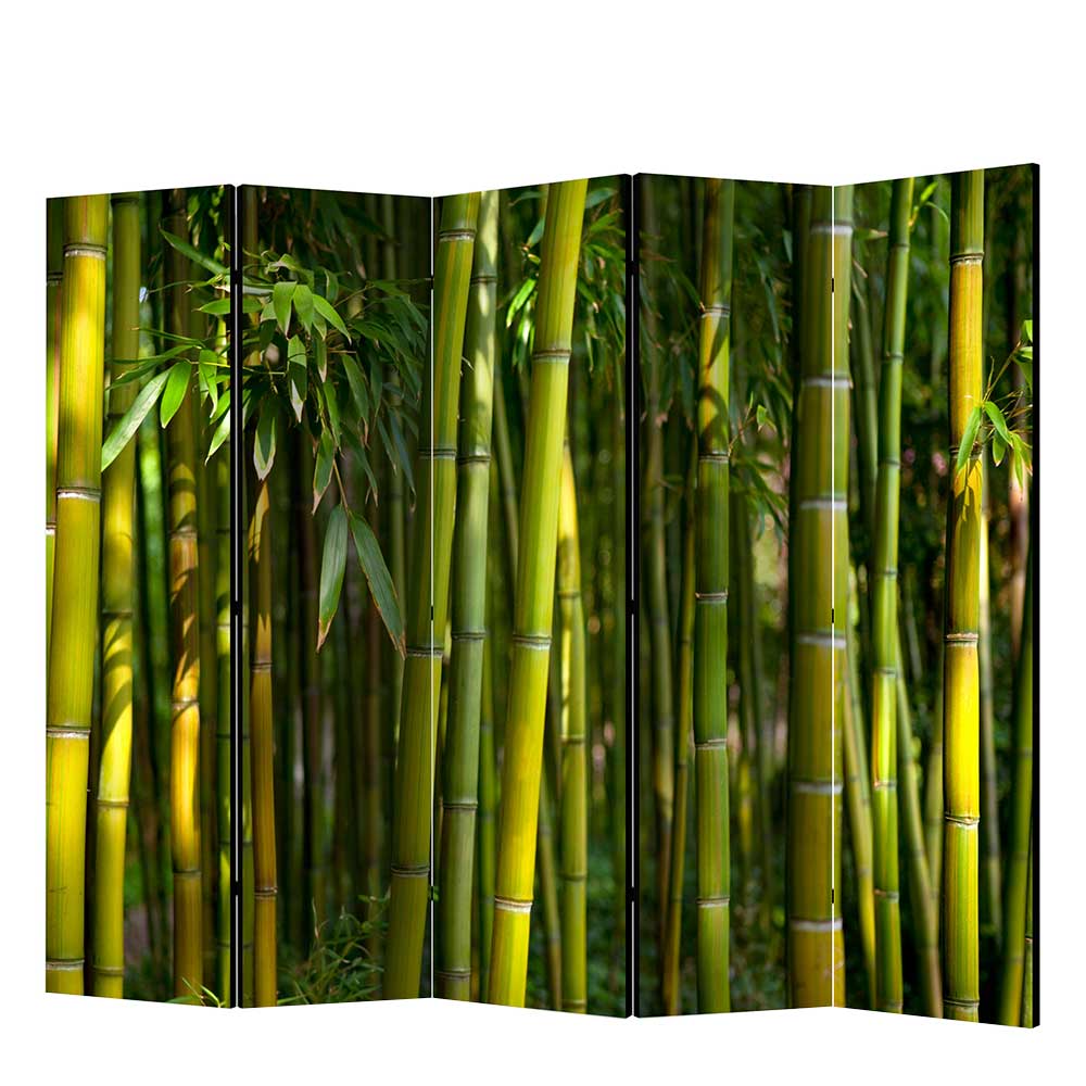 Paravent Finnca in Grüntönen mit Bambuswald Motiv