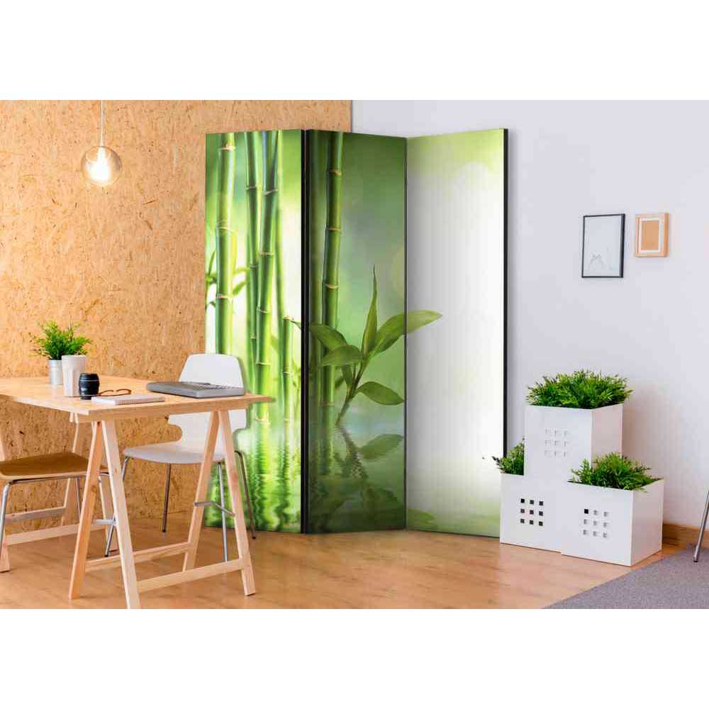 Raumteiler Paravent Queen mit Bambus Motiv in Grün 3-teilig