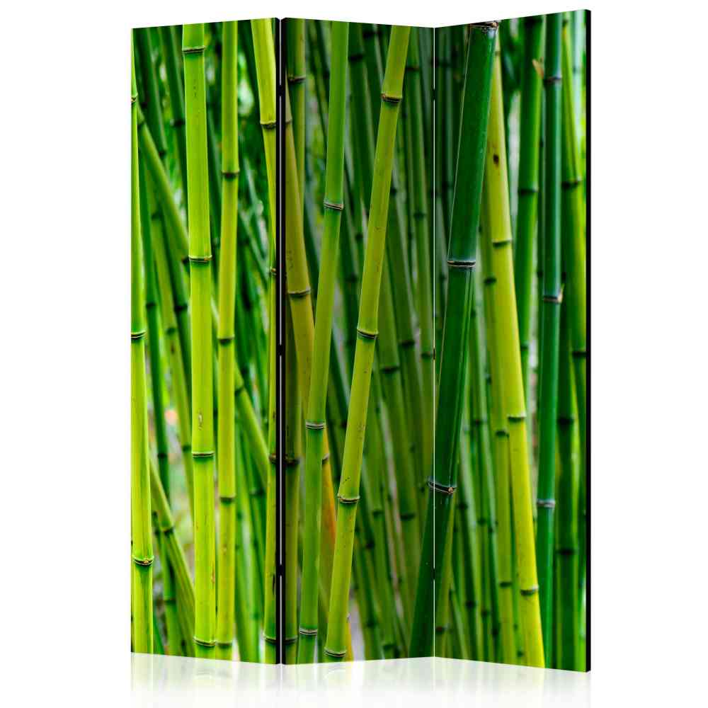 Paravent Raumteiler Vutonia mit Bambus Motiv in Grün