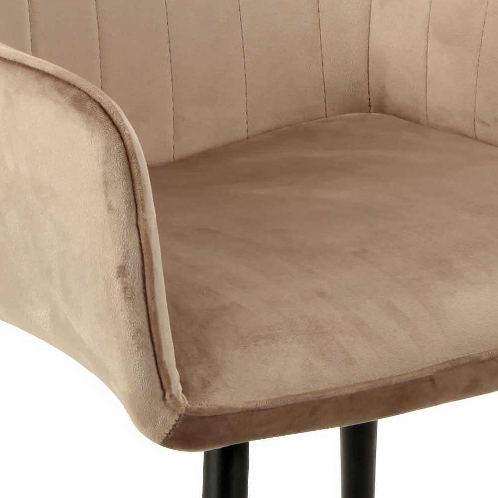 Stühle mit Armlehnen Venatio in Taupe 55 cm breit (2er Set)