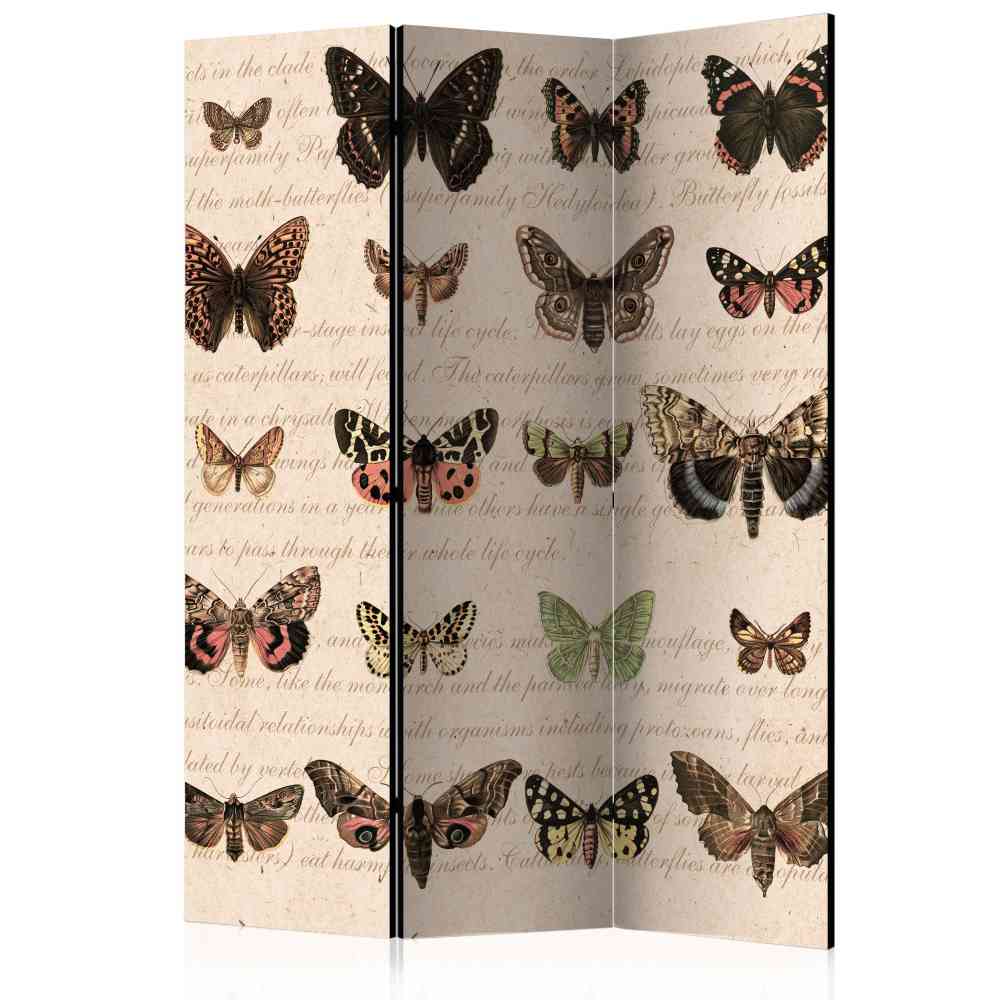 Spanische Wand Zebastio mit Schmetterlingen und 3 Elementen