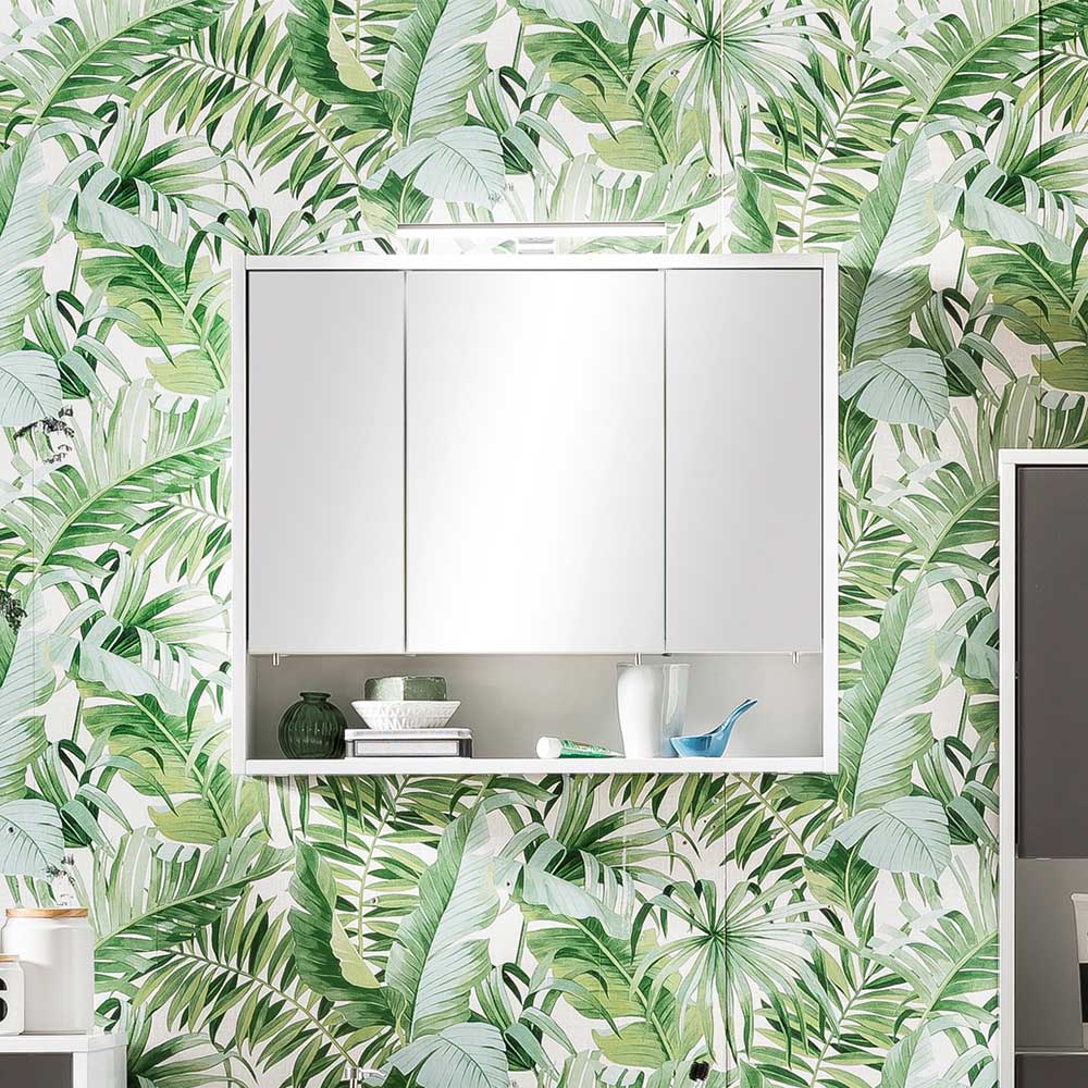 Badezimmer Spiegelschrank Regumas in Weiß 70 cm breit