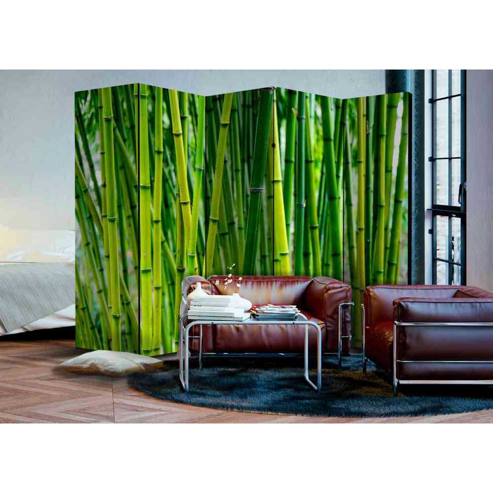 Paravent Branle mit Bambus Motiv in Grün