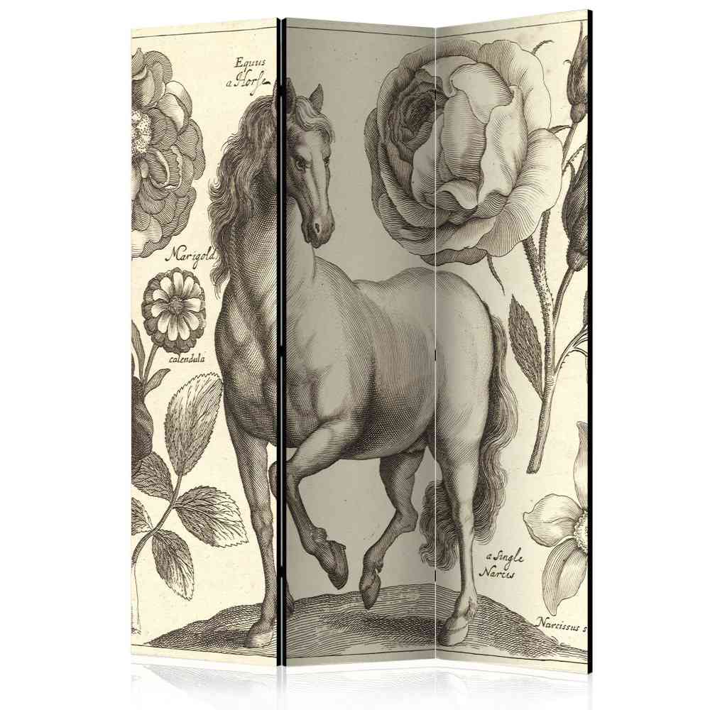 Paravent Berenice mit barockem Pferde Motiv 135 cm breit