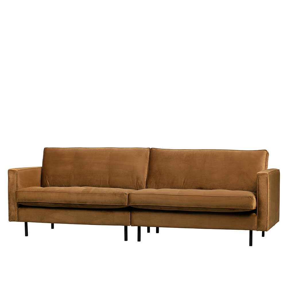 Samt Dreisitzer Sofa Habanas in Honigfarben 275 cm breit