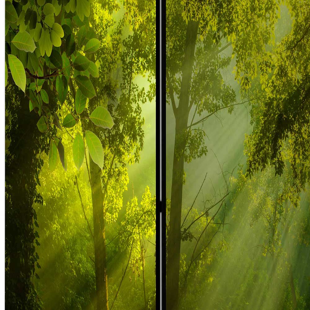 Paravent Waldmotiv Ramia in Grün mit Leinwand Füllung