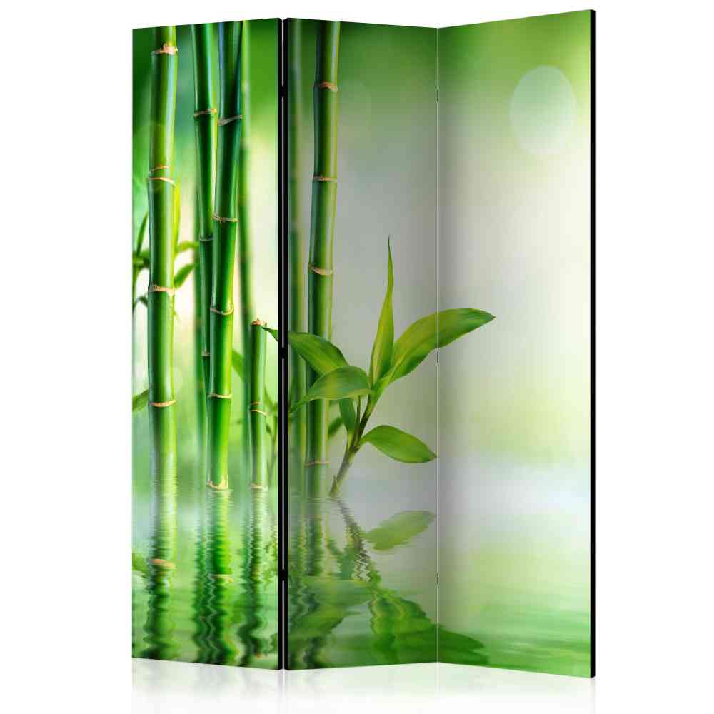 Raumteiler Paravent Queen mit Bambus Motiv in Grün 3-teilig